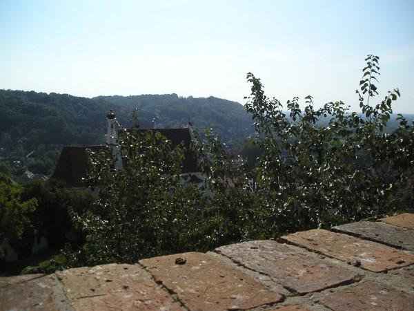 kazimierz75.jpg