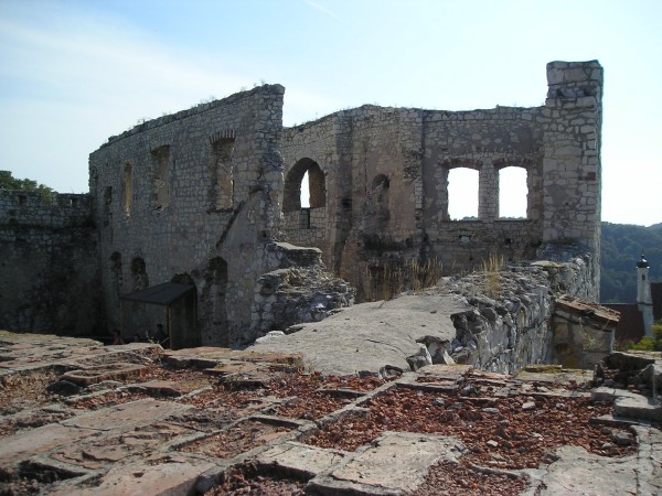 kazimierz78.jpg