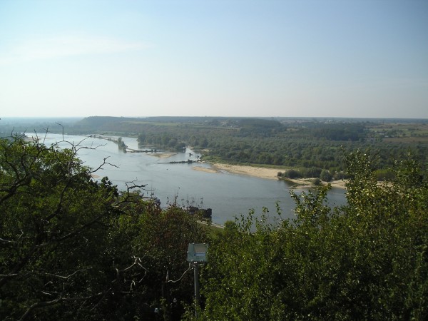 kazimierz81.jpg