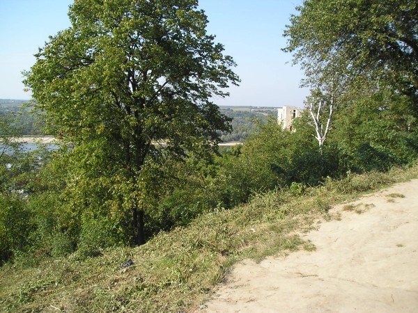 kazimierz98.jpg