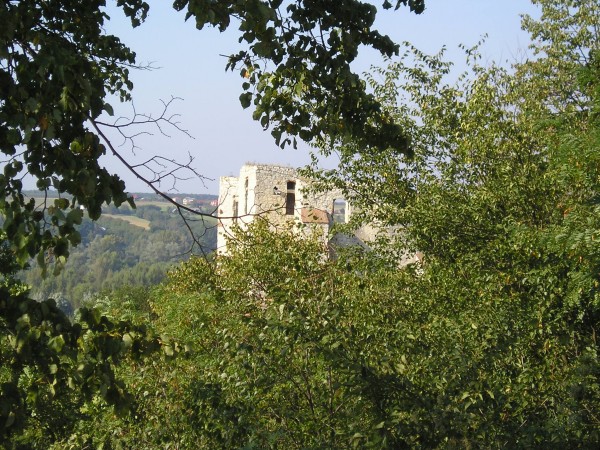 kazimierz99.jpg