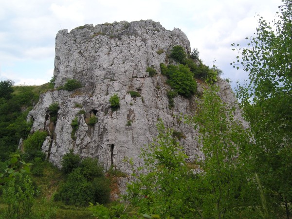 z_kielecka24.jpg