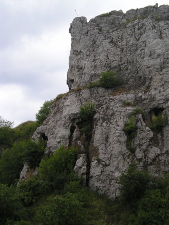 z_kielecka29.jpg