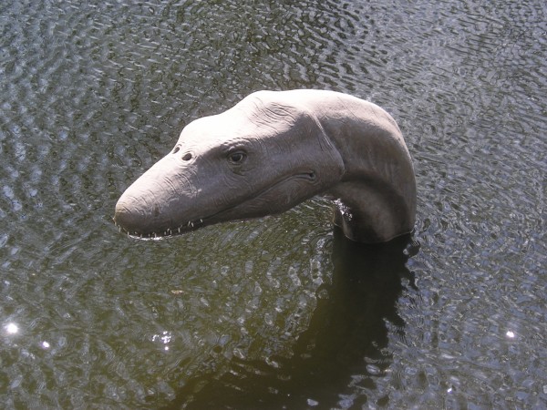 kolacinek13.jpg