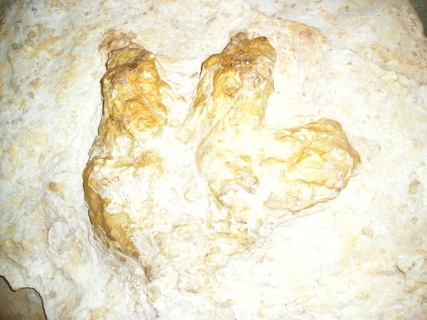 kolacinek15a.jpg
