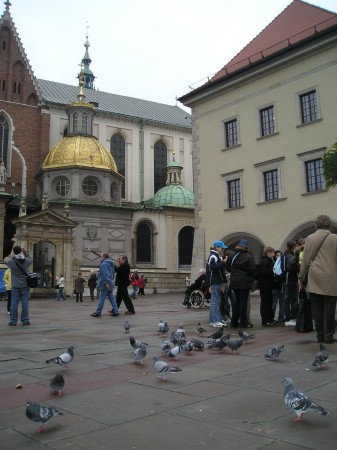 krakow20.jpg