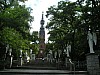 Lichen16.jpg