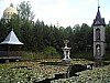 Lichen26.jpg