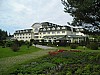 Lichen29.jpg
