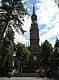 Lichen9.jpg