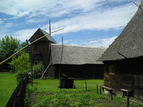 Konin12.jpg
