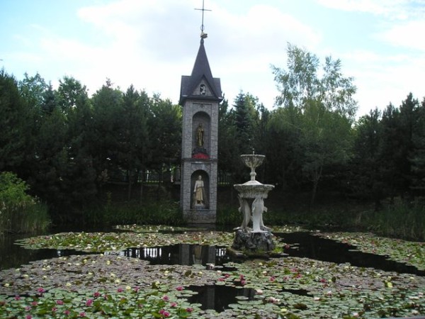 Lichen25.jpg