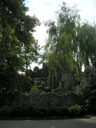 Lichen4.jpg
