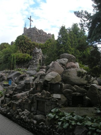 Lichen5.jpg