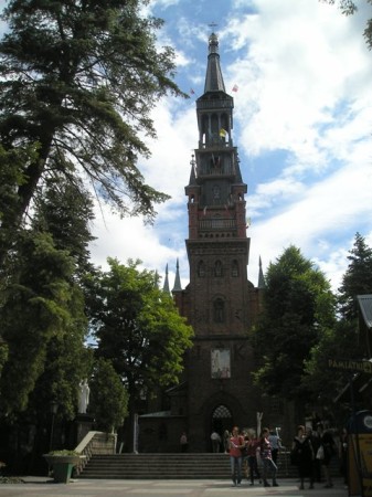 Lichen9.jpg