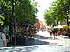 litwa9.jpg