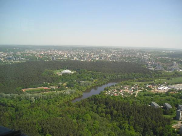 litwa84.jpg