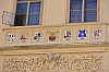 DSC_0017.jpg