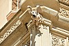 DSC_0080.jpg