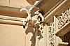 DSC_0081.jpg