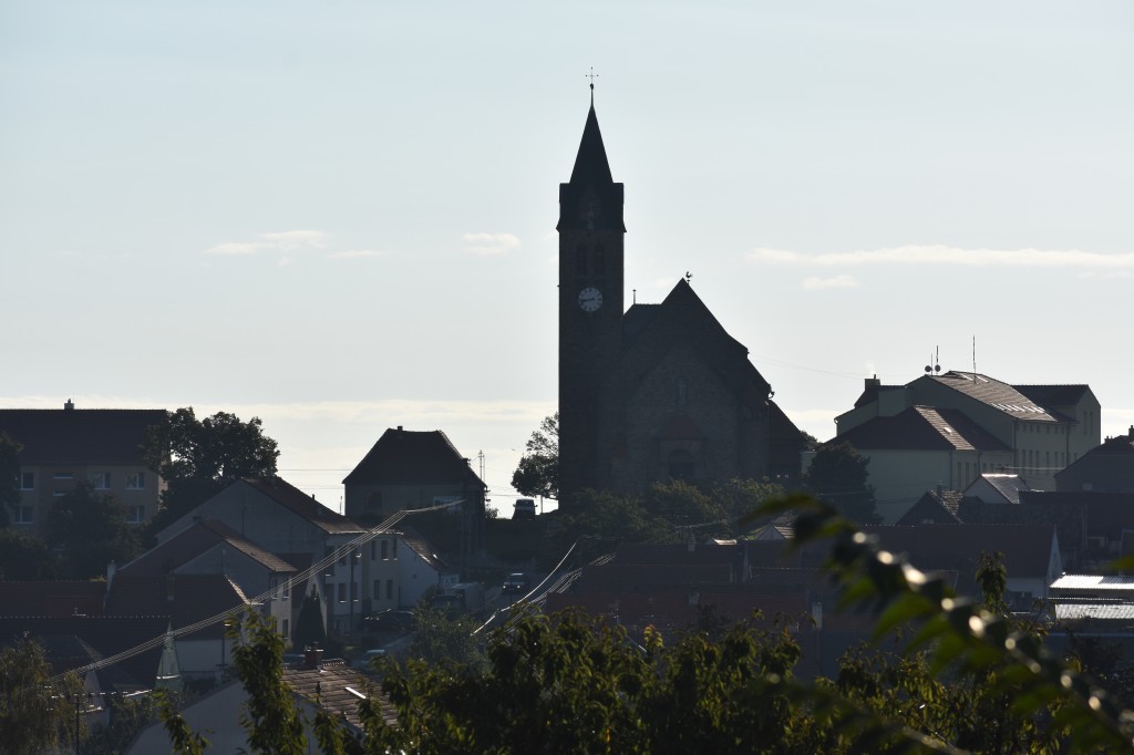 DSC_0006.jpg