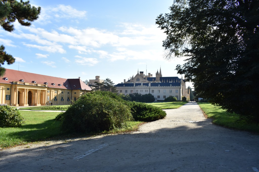 DSC_0007.jpg