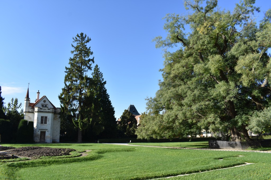 DSC_0013.jpg
