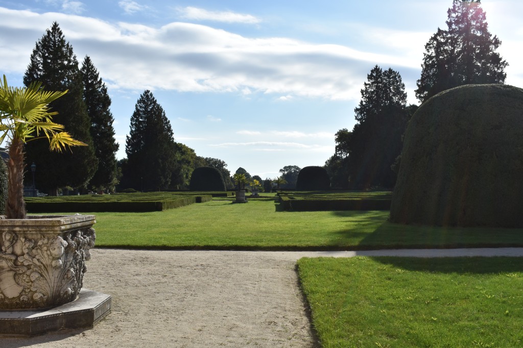 DSC_0021.jpg