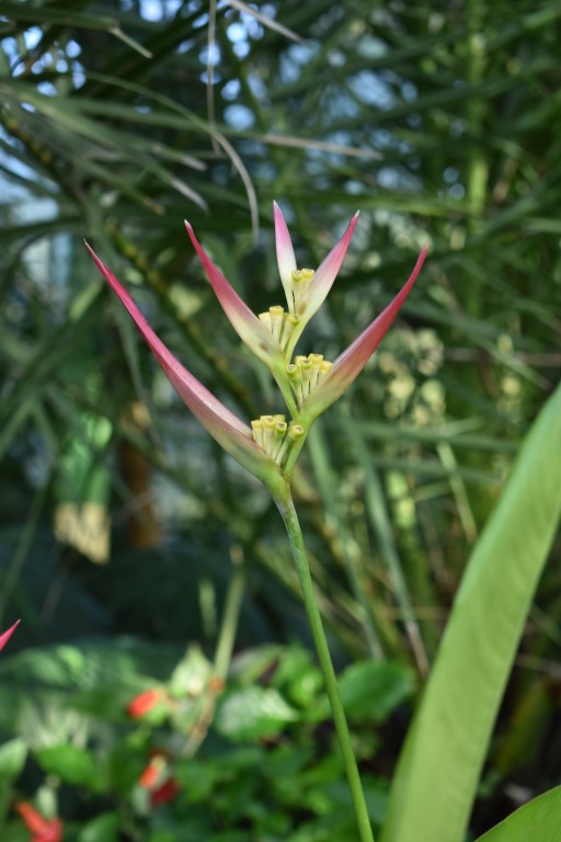 DSC_0041.jpg