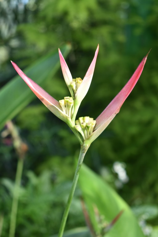 DSC_0042.jpg