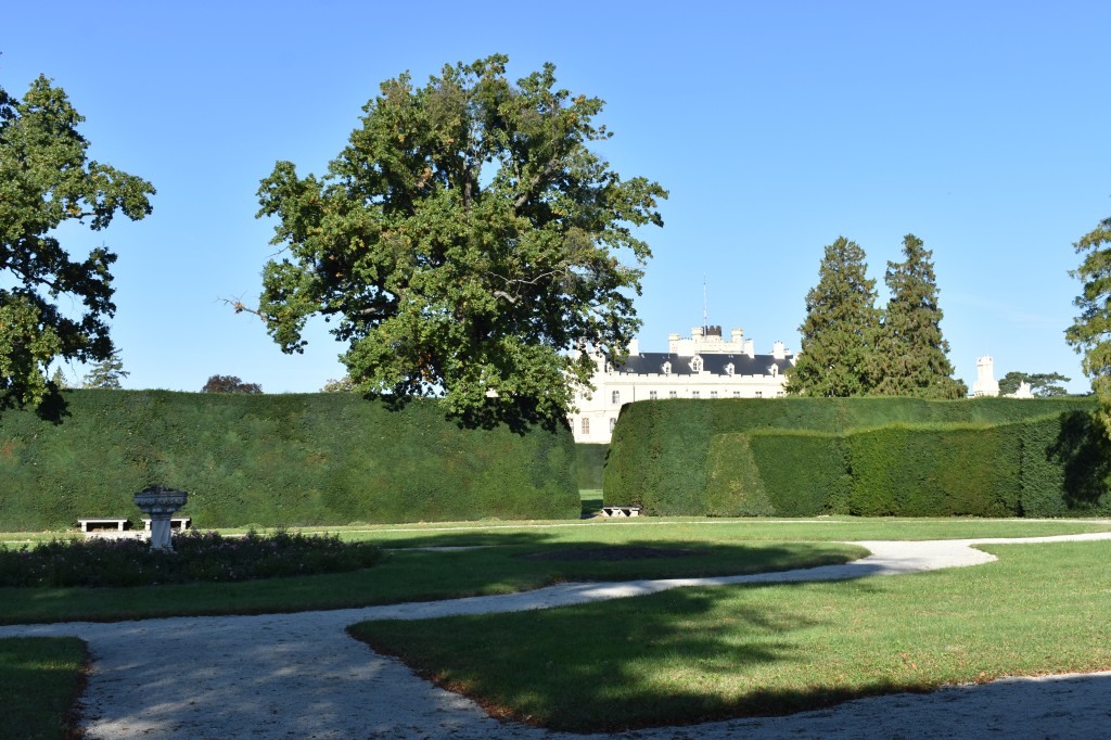 DSC_0063.jpg