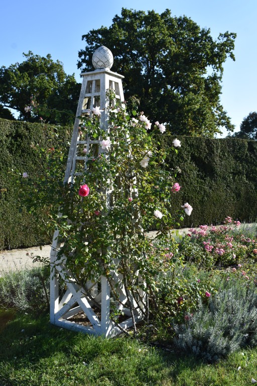DSC_0077.jpg