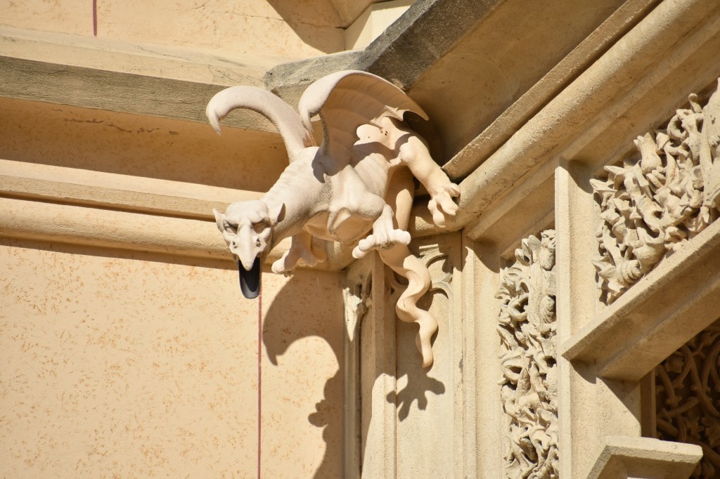 DSC_0081.jpg