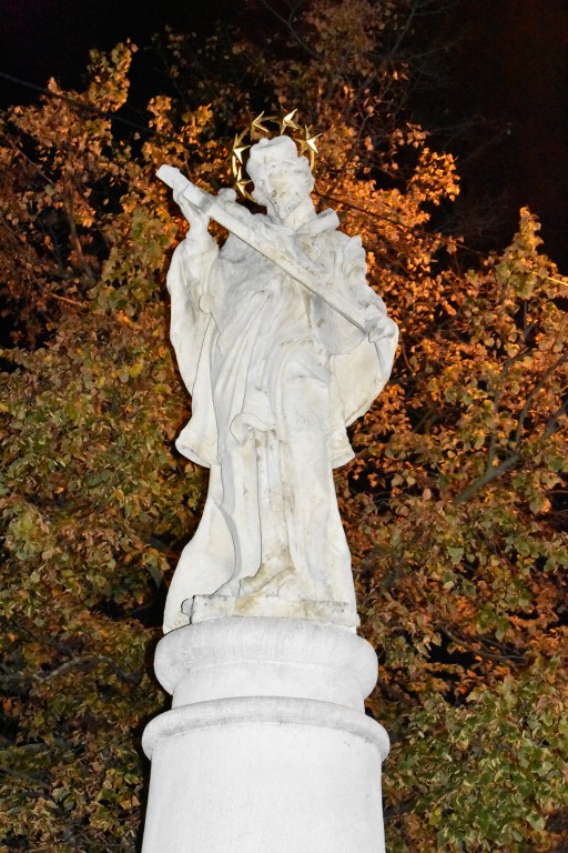 DSC_0501.jpg