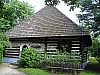 w6.jpg
