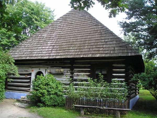 w6.jpg