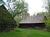 ns13.jpg
