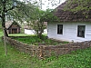 ns29.jpg