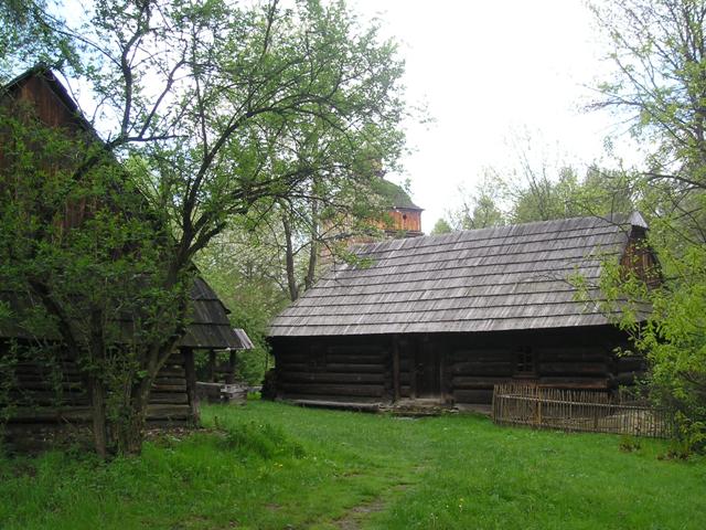 ns13.jpg
