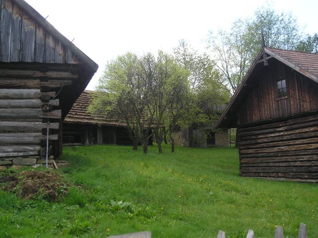 ns16.jpg