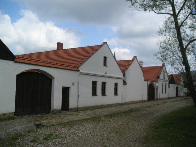 ns52.jpg