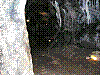 OPN104.jpg