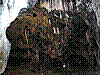 OPN109.jpg