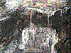 OPN119.jpg