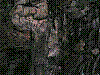 OPN120.jpg
