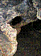 OPN126.jpg