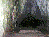 OPN127.jpg