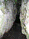 OPN128.jpg