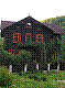 OPN135.jpg