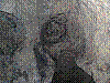 OPN67.jpg